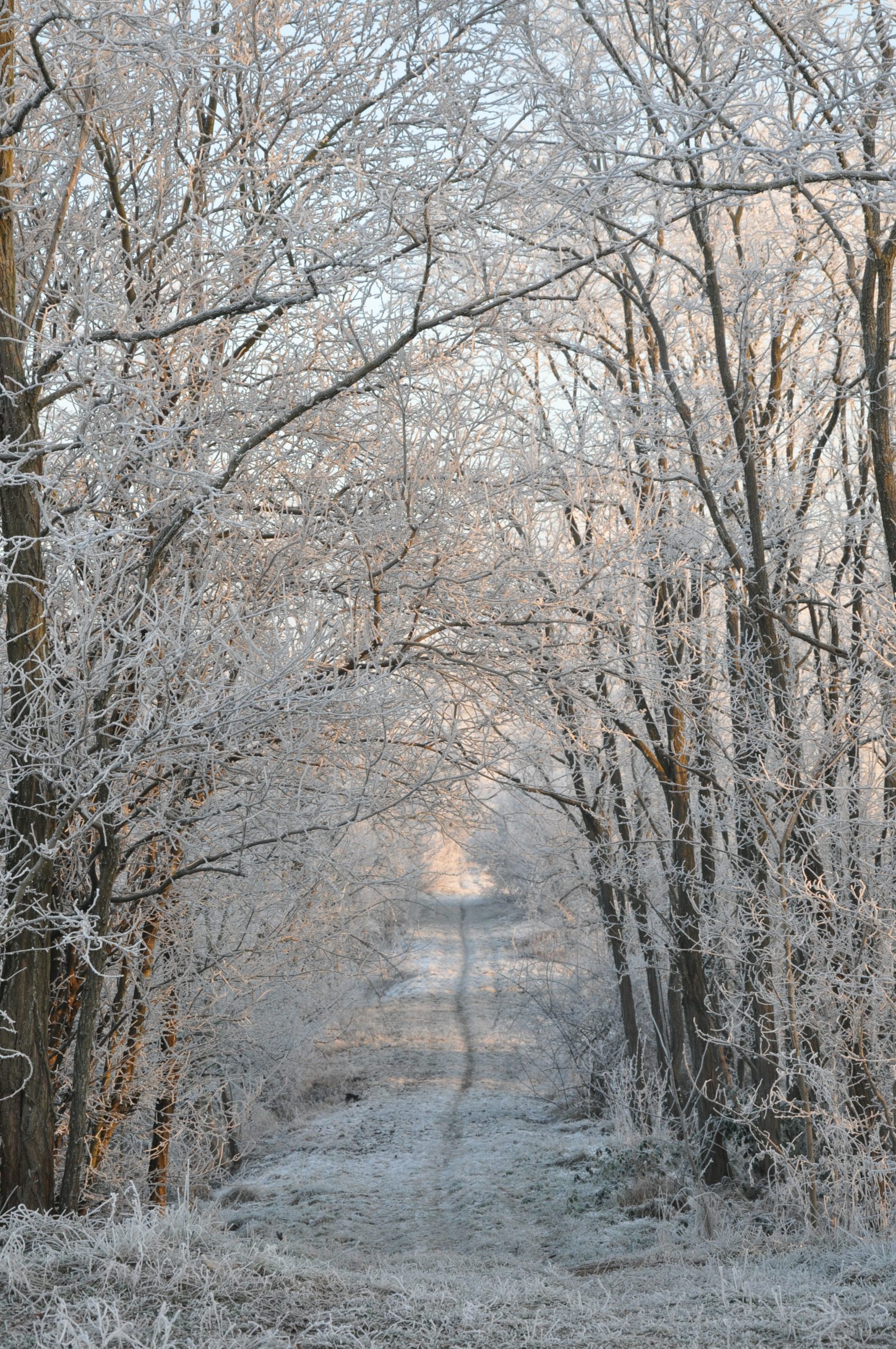 DSC_0371-scaled