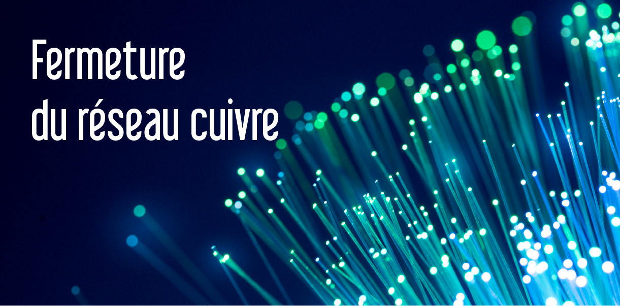 Fibre